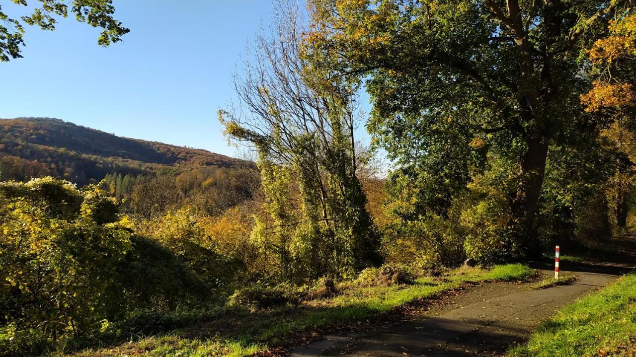Panoramahaus Sauerland Apartment Arnsberg Bagian luar foto